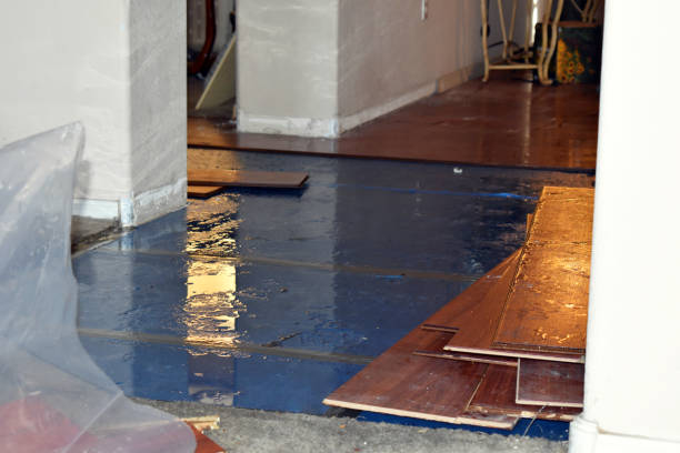 Professional Basement Flood Cleanup technician working in Ostrander, OH